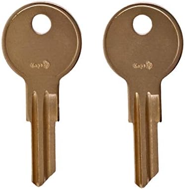 8025 Çift 2 Tuşları için 1998-2012 Coleman Pop-Up Camper Step Up Kapı 8025 Yedek Anahtar önceden Kesilmiş Kod tarafından keys22