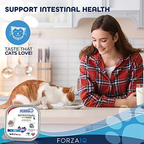 Forza10 Islak Kedi Maması Bağırsak, Balık Somon Kedi Maması Aroması, Hassas Mide Gastrointestinal ve Sindirim Problemleri olan