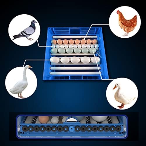 LYLSXY Yumurta Kuluçka Çıkım Makinesi Otomatik Sıcaklık ve Nem Kontrolü Yumurta Çıkım Makinesi Tüm Kümes Hayvanları için (Boyut: