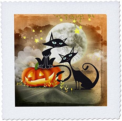 3dRose Halloween İki Kedi Birbirine Korkunç Bir Hikaye Anlatıyor-Yorgan Kare, 12 inç (qs_201124_4)
