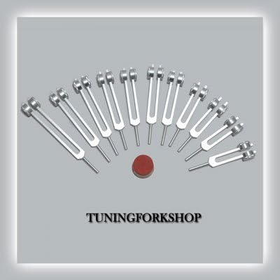 TFS Tuningforkshop Aktivatör,Kese ile Şifa için 12 Adet Mineral Ağırlıklı Tuning Çatal Seti