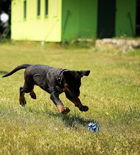 Pet Oyuncaklar Halat Topu Köpek Oyuncak (3-Pack) Renkli ve İnteraktif / Eğitim, Fetch, Römorkör Savaş Oyun / Saf Pamuk Lifleri