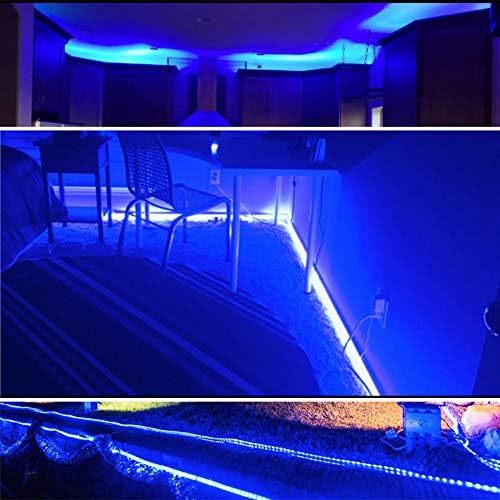 1/2 Halat ışıkları, XUNATA 3.3 ft 2-Wire su Geçirmez LED halat ışık Kiti 110 V-120 V PVC 30 LED/M tüp ışıklar şerit için arka